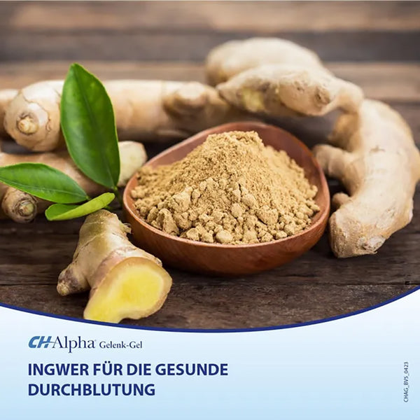 CH-Alpha® Gelenk-Gel