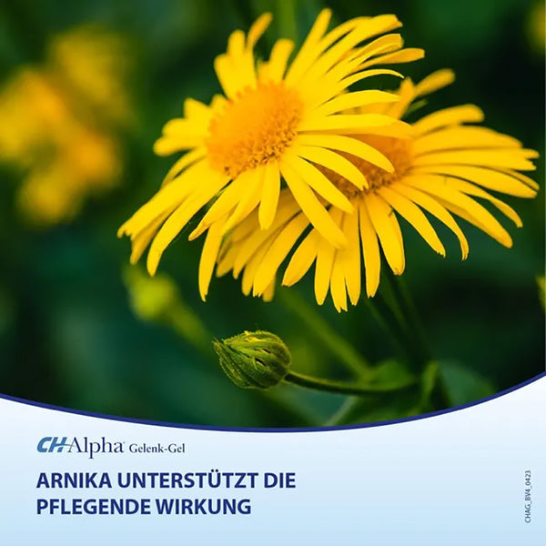 CH-Alpha® Gelenk-Gel